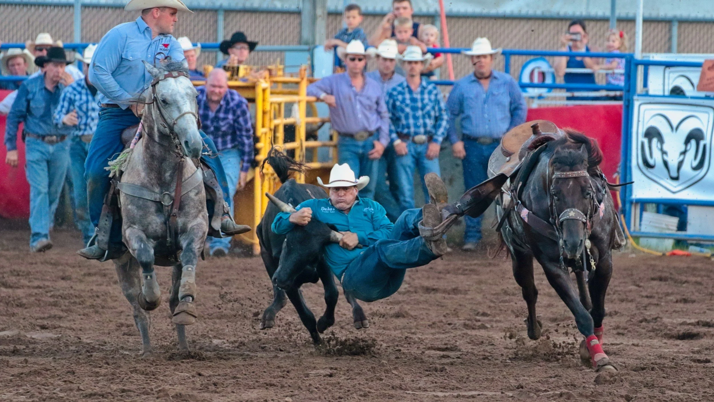Mid-Western Rodeo